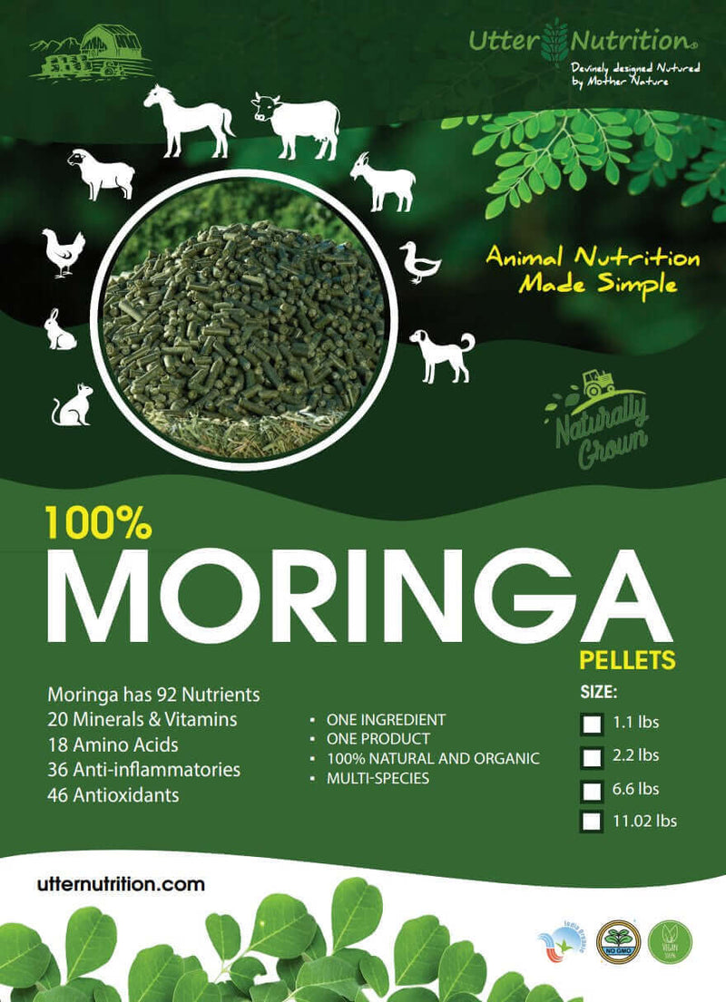 Load image into Gallery viewer, Utter Nutrition Moringa Pellets 6.6 lbs. 
