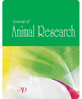 Evaluation of Therapeutic Efficacy of Moringa oleifera Leaves on Acute Liver Failure in Dogs