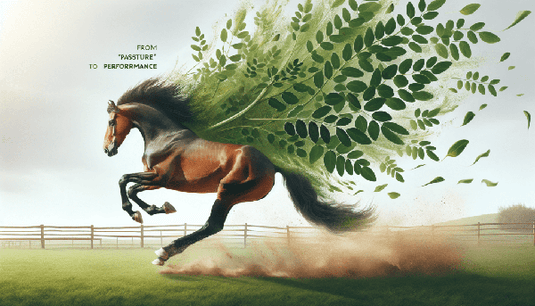 The Role of Moringa in Equine Health