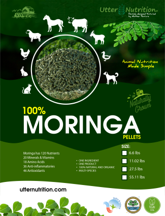 Utter Nutrition Moringa Pellets 11.02 lbs. (50 Day Supply for 1 Horse or Cow or 3 Goats or Sheep)