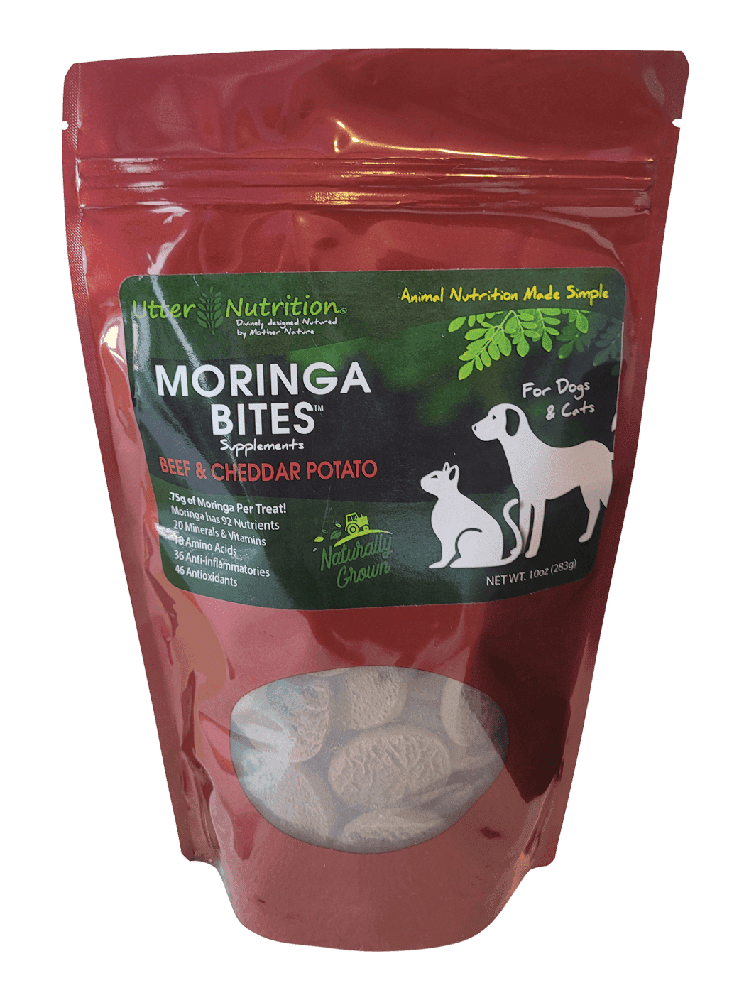 Moringa dog treats best sale