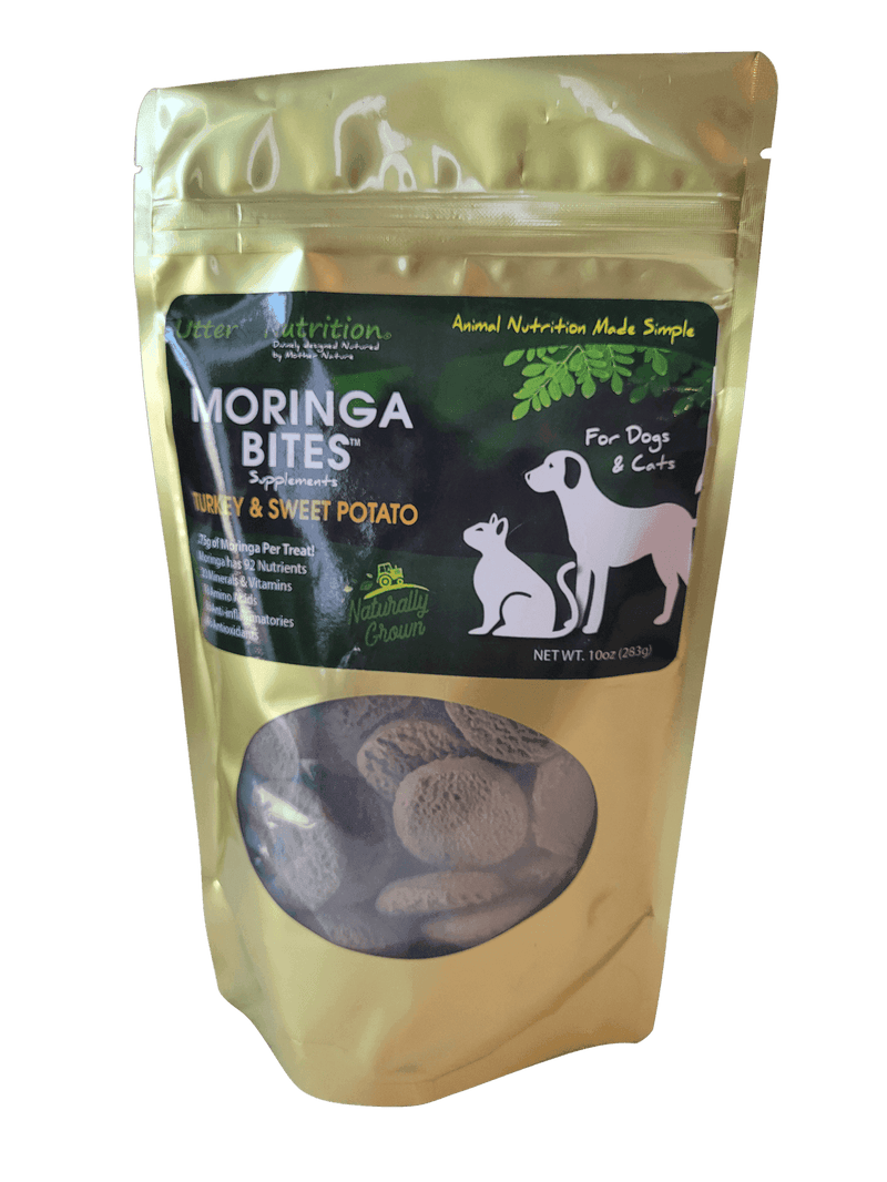 Moringa dog treats best sale