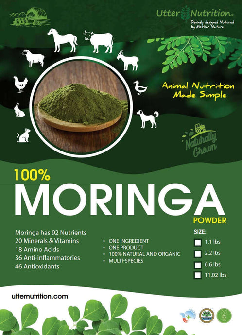 Utter Nutrition Moringa Powder 1.1 lbs.