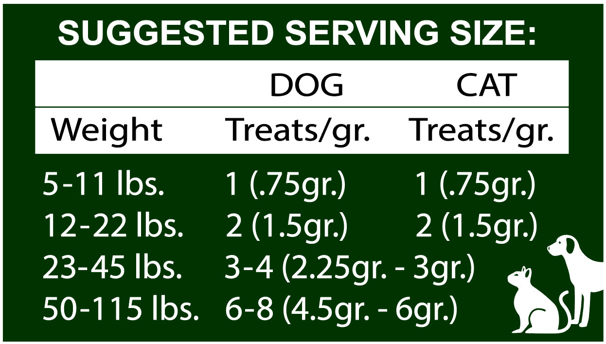 Moringa hotsell dog treats